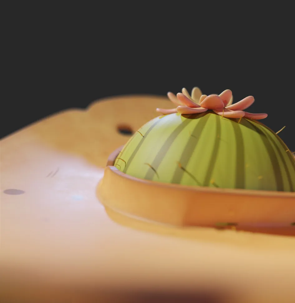 Sheriff Cactus — 5